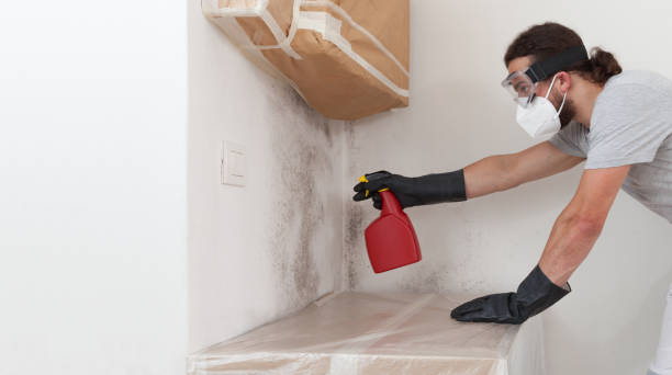 Professional Mold Cleanup technician working in Stevens, PA